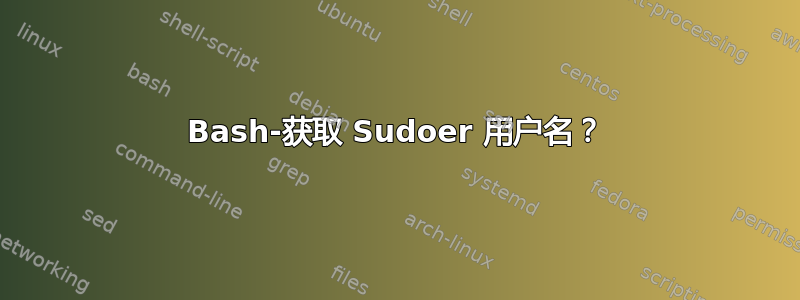 Bash-获取 Sudoer 用户名？