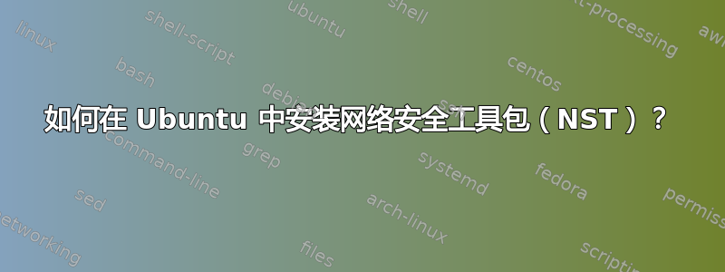 如何在 Ubuntu 中安装网络安全工具包（NST）？