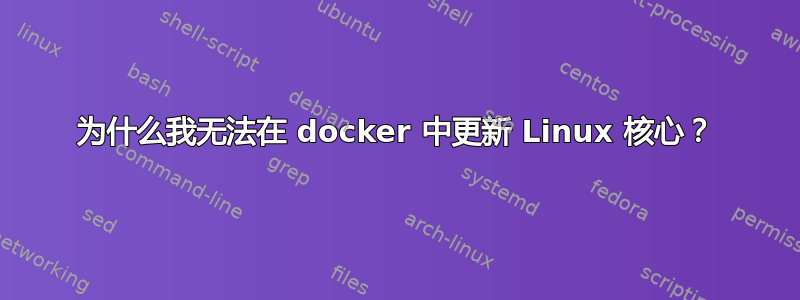 为什么我无法在 docker 中更新 Linux 核心？