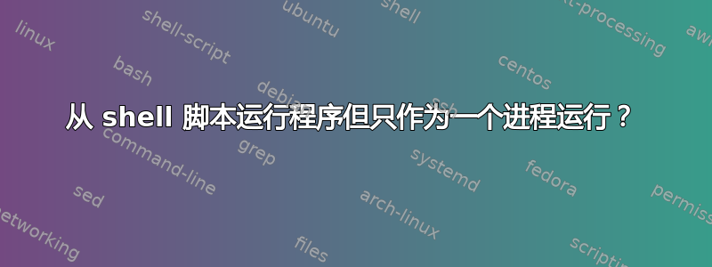 从 shell 脚本运行程序但只作为一个进程运行？