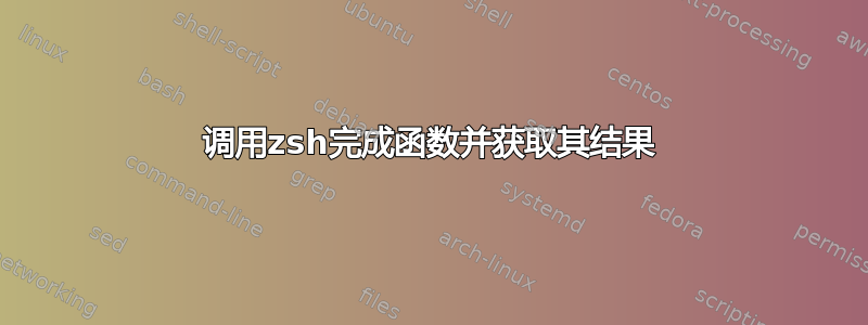 调用zsh完成函数并获取其结果