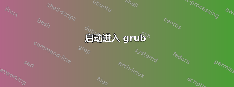 启动进入 grub