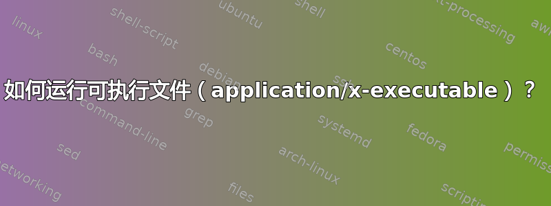 如何运行可执行文件（application/x-executable）？