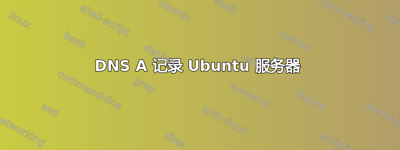 DNS A 记录 Ubuntu 服务器