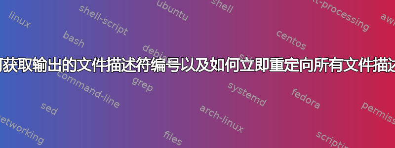 如何获取输出的文件描述符编号以及如何立即重定向所有文件描述符