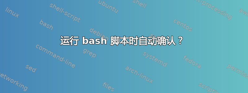 运行 bash 脚本时自动确认？