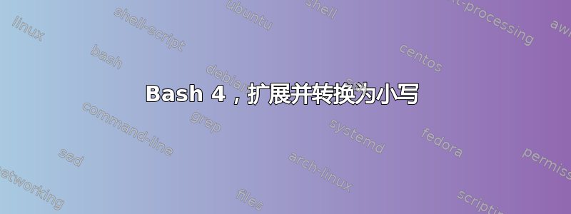 Bash 4，扩展并转换为小写