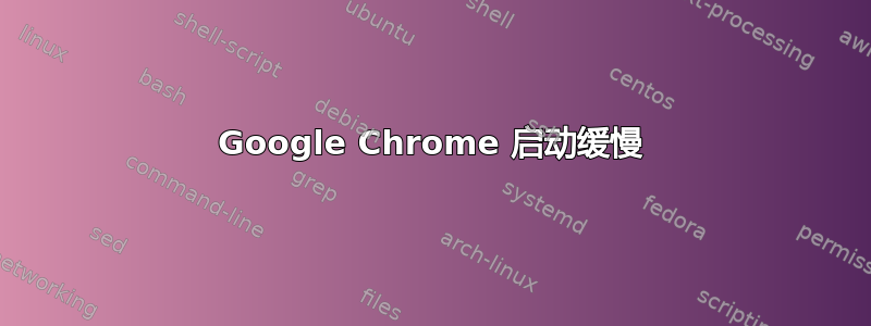 Google Chrome 启动缓慢