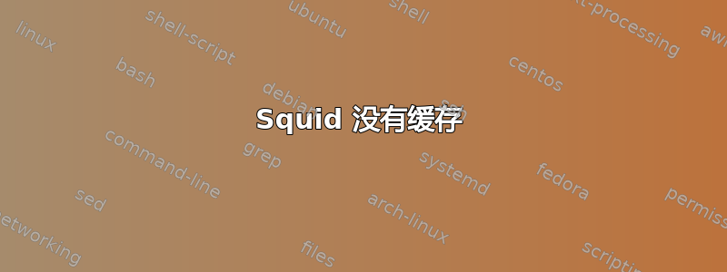 Squid 没有缓存