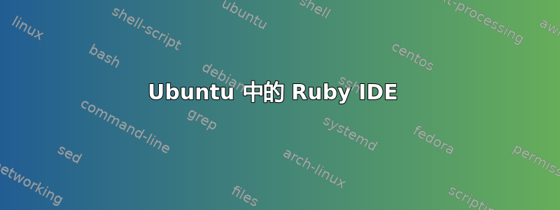 Ubuntu 中的 Ruby IDE 