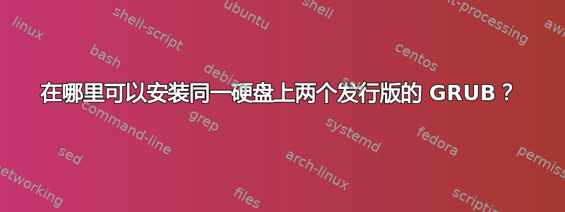 在哪里可以安装同一硬盘上两个发行版的 GRUB？