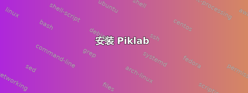 安装 Piklab