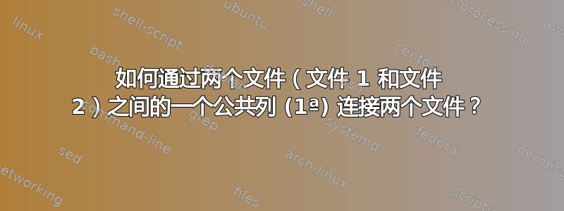 如何通过两个文件（文件 1 和文件 2）之间的一个公共列 (1ª) 连接两个文件？