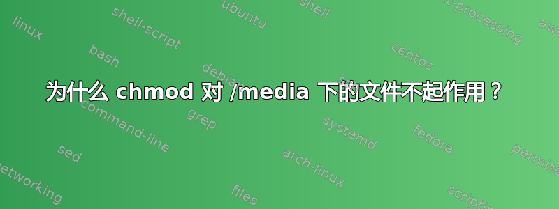 为什么 chmod 对 /media 下的文件不起作用？