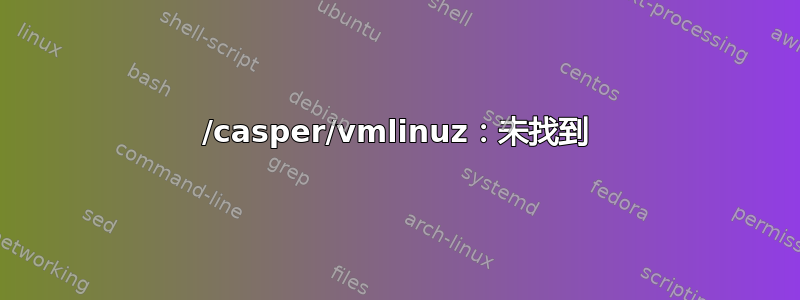 /casper/vmlinuz：未找到