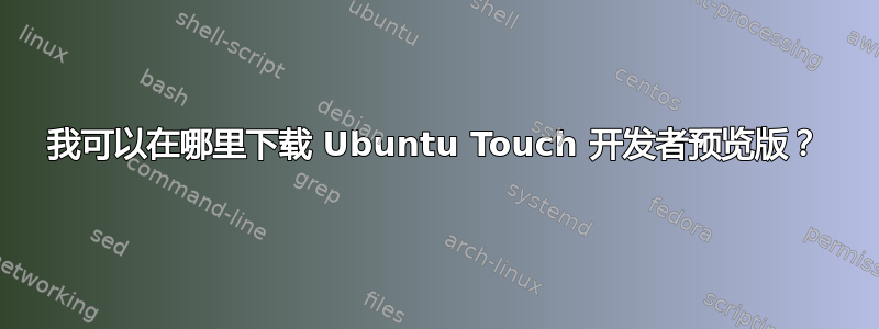 我可以在哪里下载 Ubuntu Touch 开发者预览版？