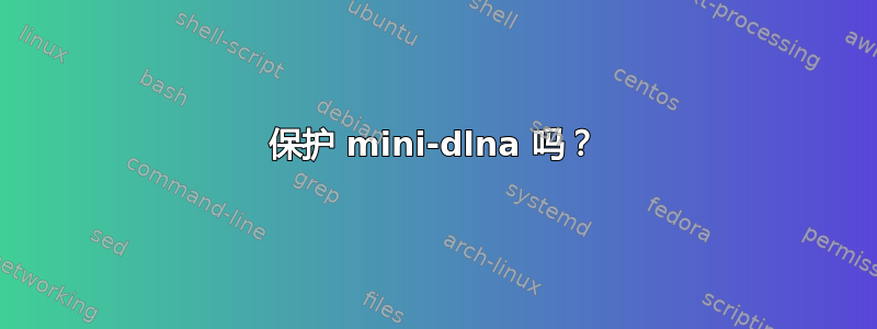 保护 mini-dlna 吗？