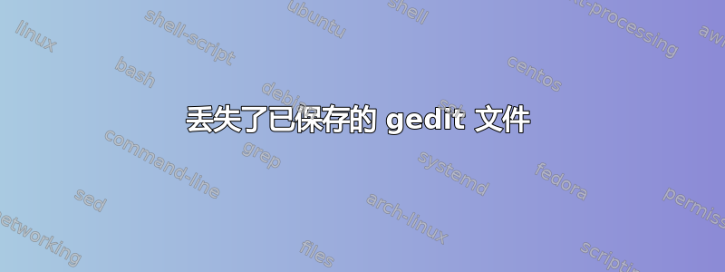 丢失了已保存的 gedit 文件