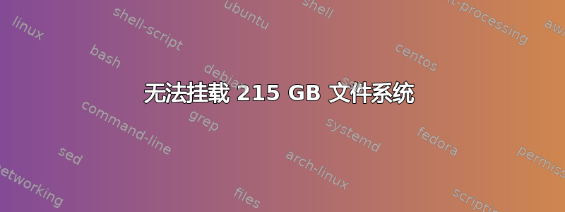 无法挂载 215 GB 文件系统