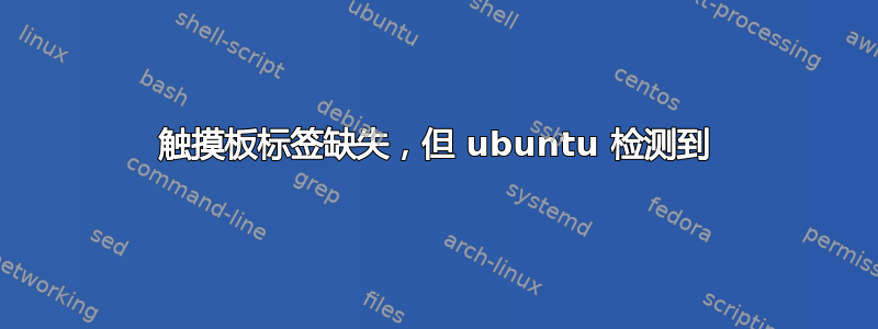 触摸板标签缺失，但 ubuntu 检测到