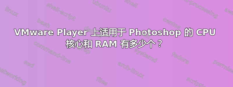 VMware Player 上适用于 Photoshop 的 CPU 核心和 RAM 有多少个？