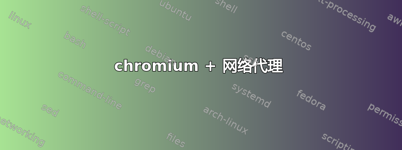 chromium + 网络代理