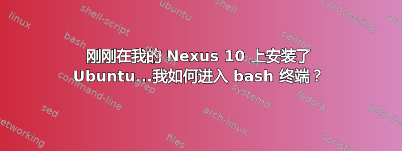 刚刚在我的 Nexus 10 上安装了 Ubuntu...我如何进入 bash 终端？