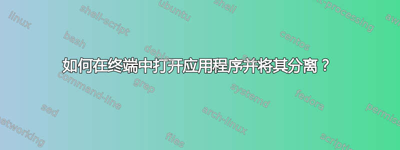 如何在终端中打开应用程序并将其分离？