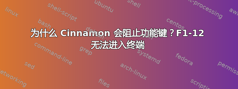 为什么 Cinnamon 会阻止功能键？F1-12 无法进入终端