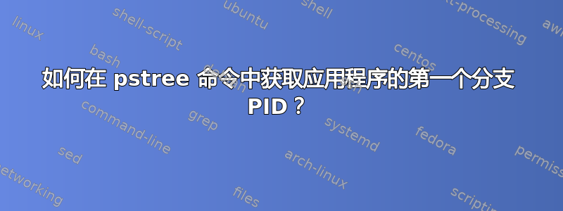 如何在 pstree 命令中获取应用程序的第一个分支 PID？