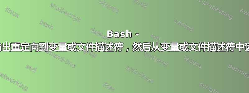 Bash - 将输出重定向到变量或文件描述符，然后从变量或文件描述符中读取