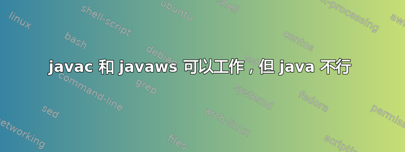 javac 和 javaws 可以工作，但 java 不行