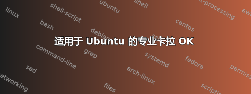 适用于 Ubuntu 的专业卡拉 OK