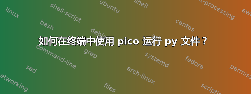 如何在终端中使用 pico 运行 py 文件？