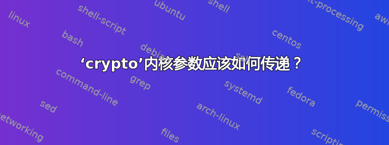 ‘crypto’内核参数应该如何传递？