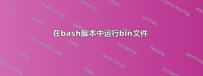 在bash脚本中运行bin文件