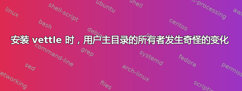 安装 vettle 时，用户主目录的所有者发生奇怪的变化