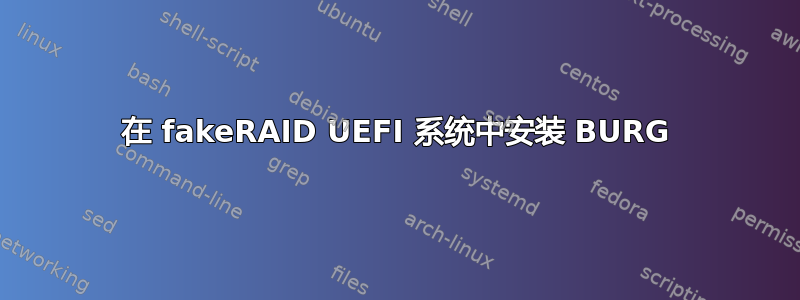 在 fakeRAID UEFI 系统中安装 BURG