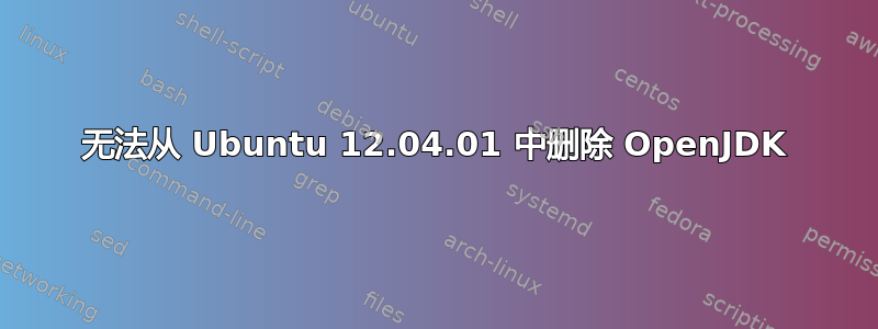 无法从 Ubuntu 12.04.01 中删除 OpenJDK