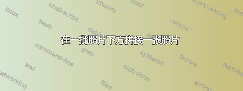 在一批照片下方拼接一张照片