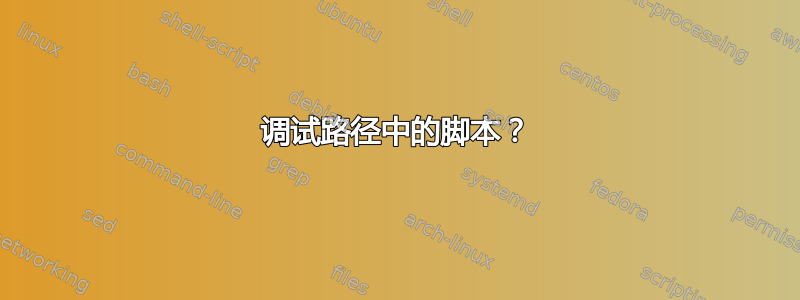 调试路径中的脚本？