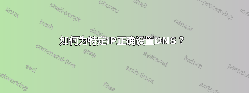 如何为特定IP正确设置DNS？