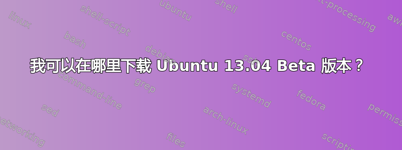 我可以在哪里下载 Ubuntu 13.04 Beta 版本？