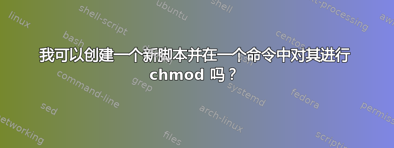 我可以创建一个新脚本并在一个命令中对其进行 chmod 吗？