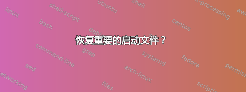 恢复重要的启动文件？