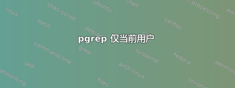 pgrep 仅当前用户