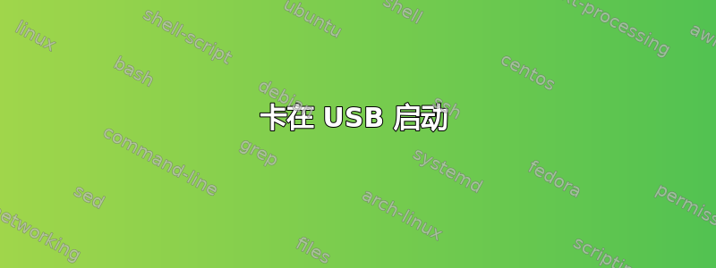 卡在 USB 启动