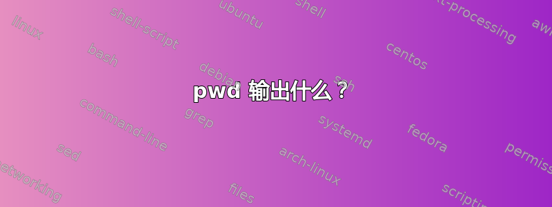 pwd 输出什么？