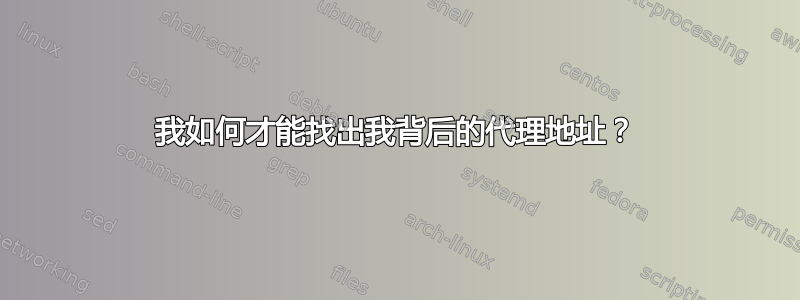 我如何才能找出我背后的代理地址？