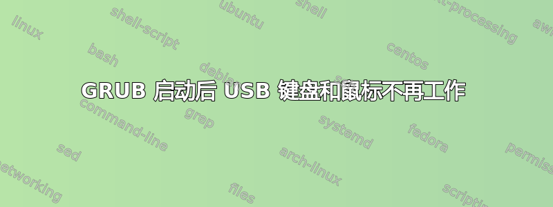 GRUB 启动后 USB 键盘和鼠标不再工作